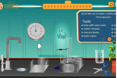 إثبات صعود الماء في النباتات بقوة النتح